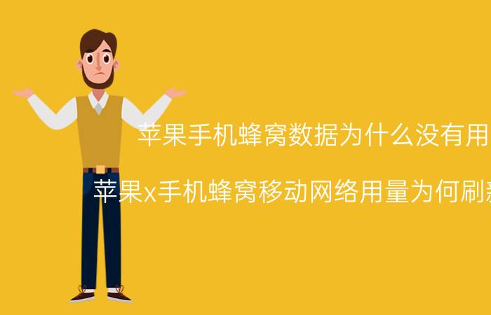 苹果手机蜂窝数据为什么没有用量 苹果x手机蜂窝移动网络用量为何刷新不了？